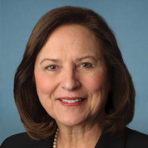 Sen. Deb Fischer - Republican Accountability